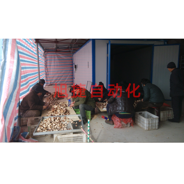河北邢台香菇烘干