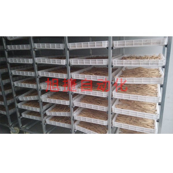 甘肃陇西党参烘干