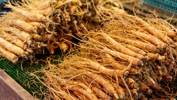 中药材烘干设备小编谈药材的一次烘干和二次烘干区别所在