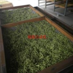 厂家谈金银花烘干机怎么样？有哪些优势