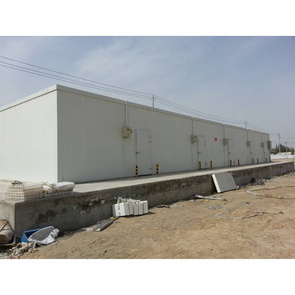 果品保鲜设备XJ-500TL型