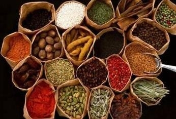 中药颗粒烘干设备