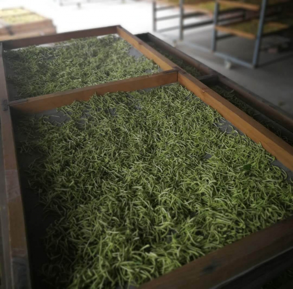 金银花烘干设备