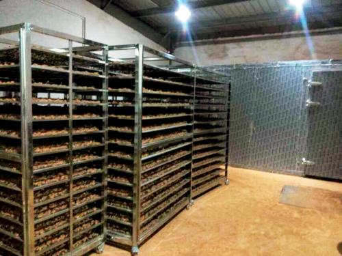 中药材烘干设备